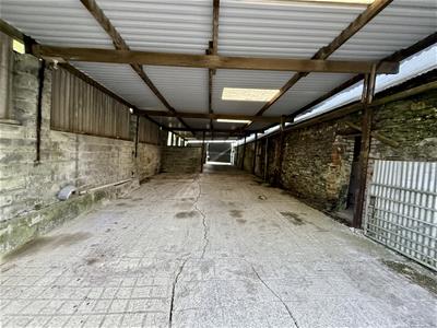 Picture 25